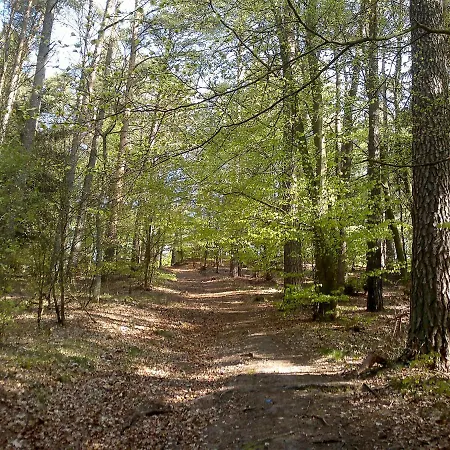 Holiday Home Smoldzinski Las By Interhome Smoldzinski Las