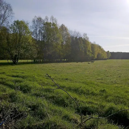 Holiday home Holiday Home Smoldzinski Las By Interhome