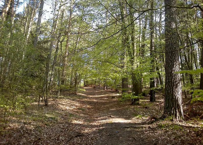 Smoldzinski By Interhome Smoldzinski Las